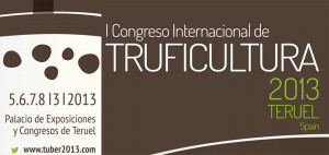 congreso_tuber2013